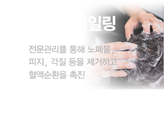 두피스케일링